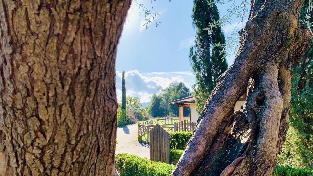 סקרלינו Casa In Maremma Tuscany Village מראה חיצוני תמונה