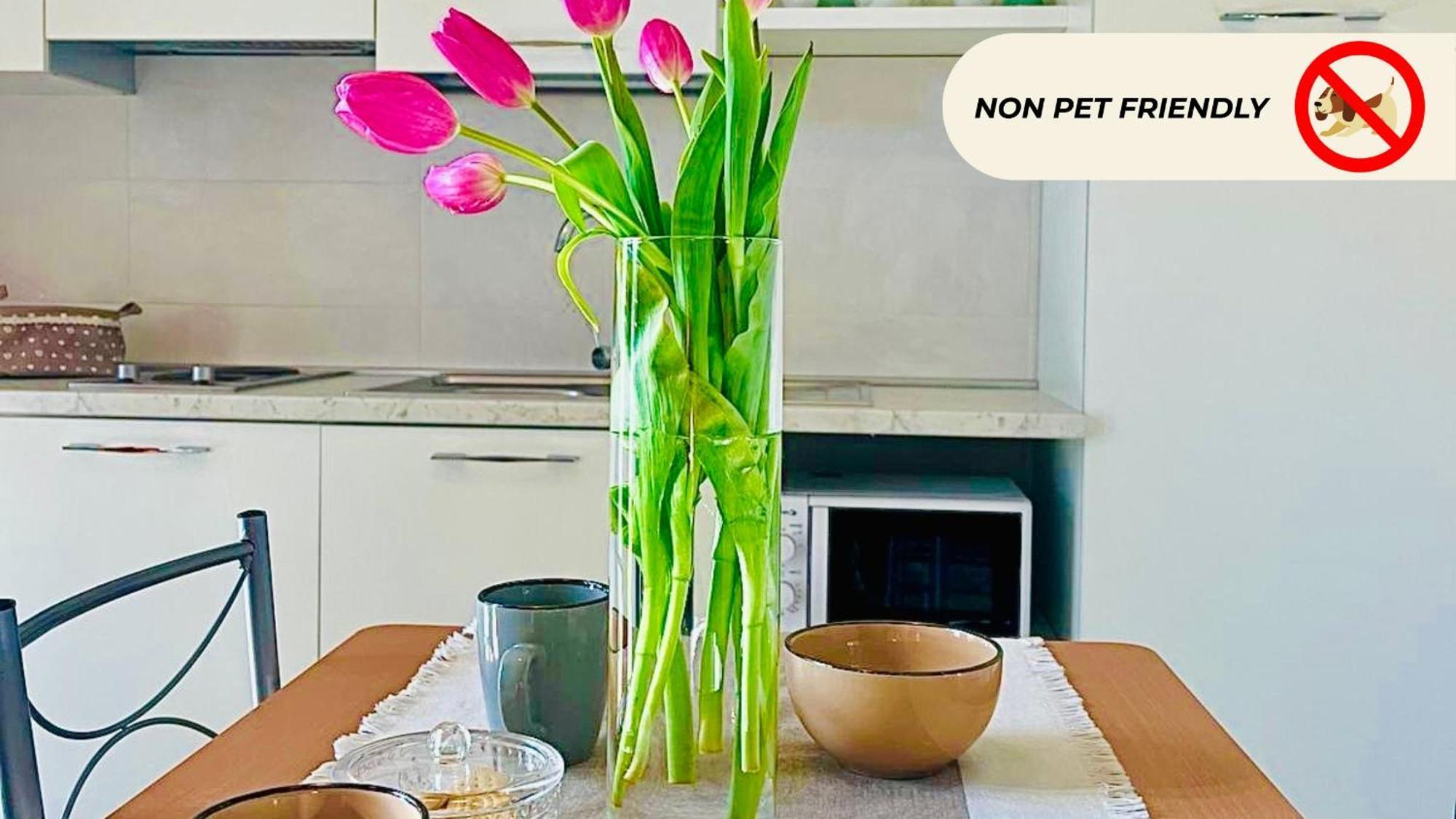 סקרלינו Casa In Maremma Tuscany Village מראה חיצוני תמונה